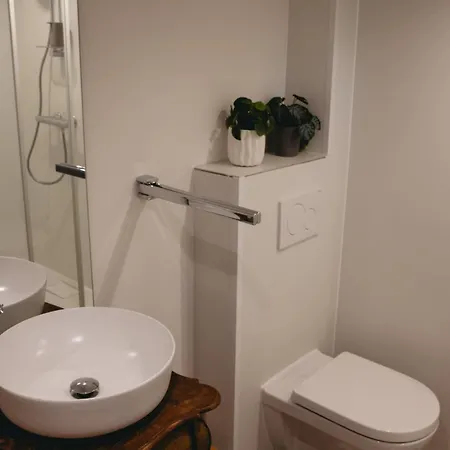 La Balena In Near Amsterdam Apartment *