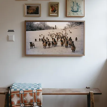La Balena In Near Amsterdam Apartment *